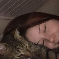 alkuperäinen ääni