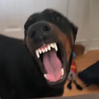 original sound - eyesonares