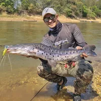 original sound - caboclodomatoo