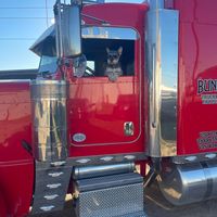 cowtruck30