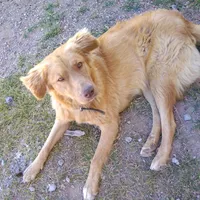 original sound - mary_matias_9