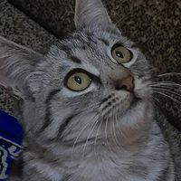 sofka2014444r4