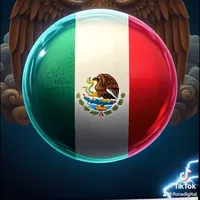 original sound - tigrillo028