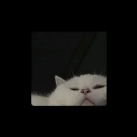 original sound - contenido_para_tiii_9