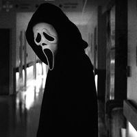 scream.theoriess