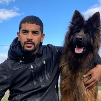 wassimdresseurdechien