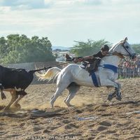 cicero_antonio_1