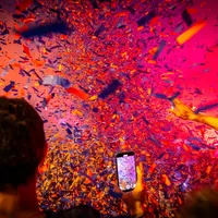 original sound - karlhitho.cc