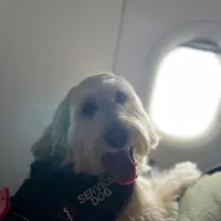 original sound - tobyjose2