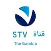 stv523