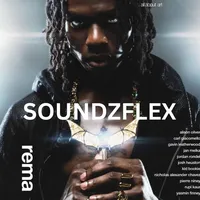 original sound - soundzflex