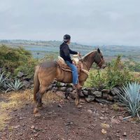 galvan_0011