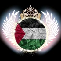 nabeel.almnsoore
