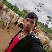 jlro7617