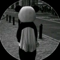nena_502tl