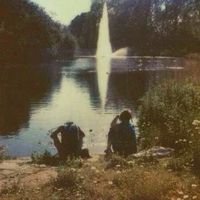 v.v_34xp