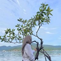 ros_haruni