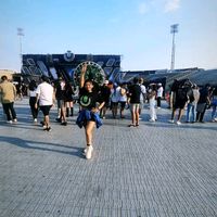 tatigingerline