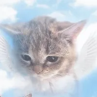 original sound - onlygetweirder