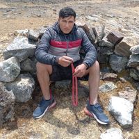 ever25010