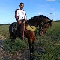 domingosvaqueiro96