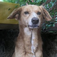 enriquevelasquez0420