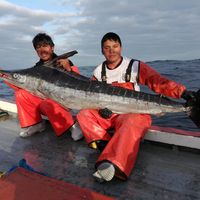 sonido original - Victor Del Mar