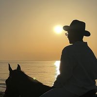 الصوت الأصلي