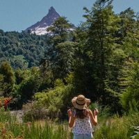 jdartebotanico