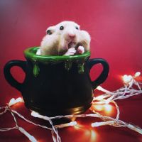 original sound - udtki6358