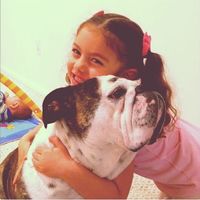 sofia__sof__