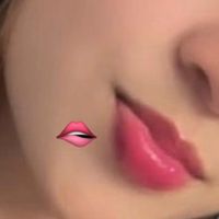 perez_hn504