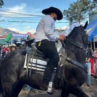 anthonyduarte844