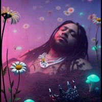 Echo Grim find me follow me use this sound