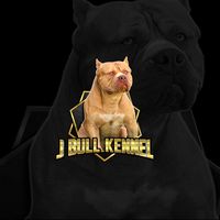 j.bull_kennel