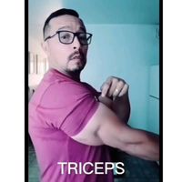 the_triceps_bar
