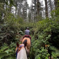 california.endurance