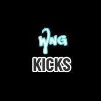 wng.kicks