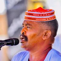 الصوت الأصلي