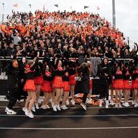 wdpstudentsection