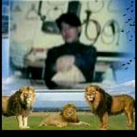 hollyhuang8833
