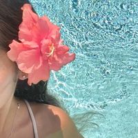 .vlogs..coconttzx