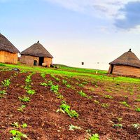 الصوت الأصلي