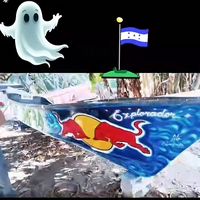 guapinolfibrasracing2