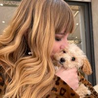 damino.david.is.my.bf