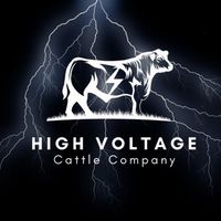 highvoltagecattleco