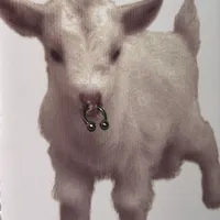 were fated to pretend