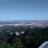 un_poco_de_todoo12390