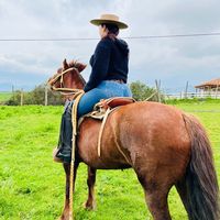 la_potranca_fina_