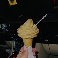 _gabriellyborgess